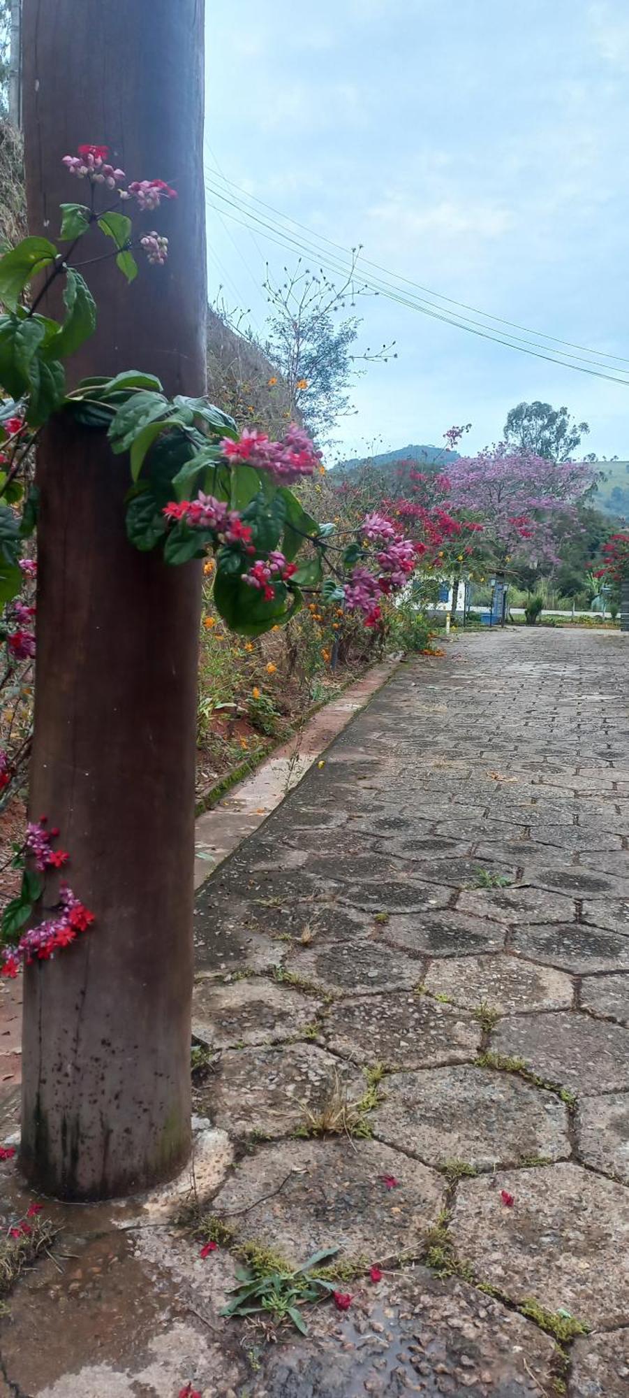 Pensión Recanto Caminho águas *